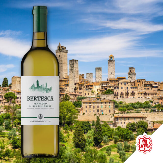 Il compagno perfetto per le tue serate estive 🍷

Ogni sorso della nostra Vernaccia di San Gimignano è un'esperienza: asciutto, sapido e fresco, con il suo finale leggermente amarognolo lascia un'armonia perfetta in bocca. 

È il vino ideale per accompagnare i tuoi momenti di relax, dai pranzi all'aperto alle cene in compagnia.

Lasciati conquistare dalla raffinata freschezza di Bertesca Vernaccia di San Gimignano DOCG 👉 Link in bio

#lapiùgrandefamigliadelchianticlassico #chiantilovers #chianticlassico #castellidelgrevepesa